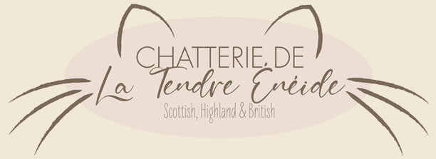 Chatterie de la tendre Énéide